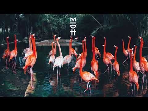 Rodrigo Gallardo - Como Si Fueran Dioses (Original Mix)