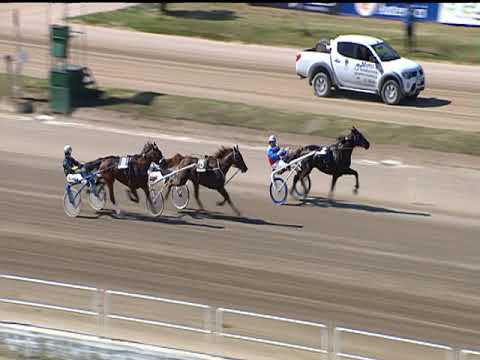 Trotto 30/04/2019 - 5ª corsa - Speed Race - Bat. B