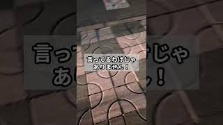 #参政党 #森川やよい #村川こうすけ #松原市議会議員選挙