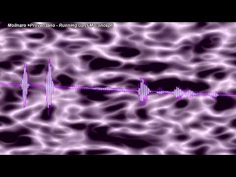 Roberto Molinaro vs Provenzano - Running Up (FM Concept)