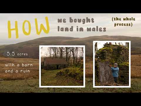 How we bought our dream off-grid land at auction in Wales