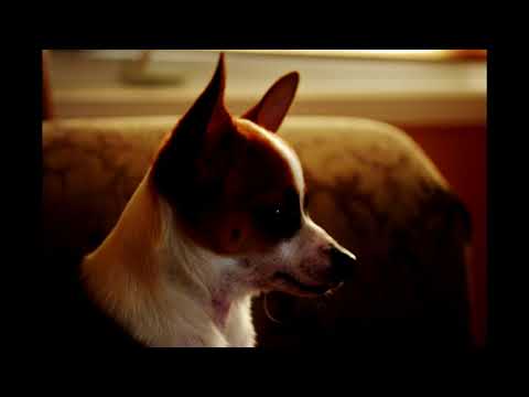 Papulin & Kate Miles - Home (Original mix)