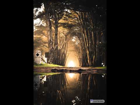 Motivational Music For Creativity and Studying