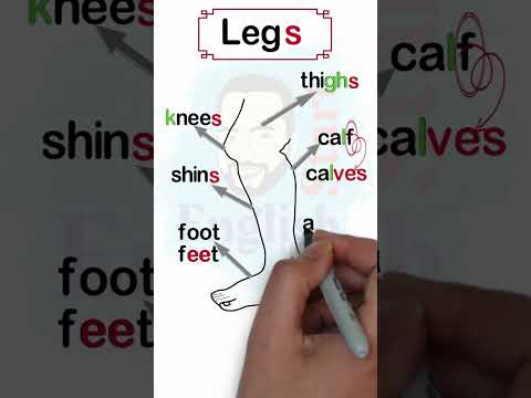 اجزاء القدم بالانجليزي Parts of the foot in English