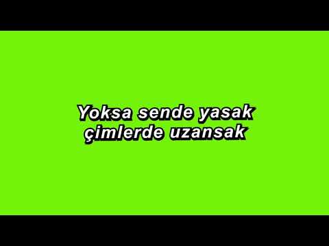 Oğuzhan Koç, Arem Ozguc, Arman Aydin - Yoksa Yasak green screen lyrics (Açıklamayı oku)
