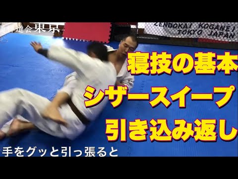【今さら聞けない寝技の基本#6 】シザースイープ　引き込み返し総合格闘技 空手道禅道会 柔術 柔道