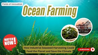 120 - Ocean Farming: How Industrial Seaweed Harvesting Could Feed the 