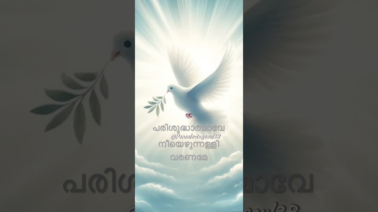 പരിശുദ്ധാത്മാവേ നീയെഴുന്നള്ളി വരണമേ🕊️