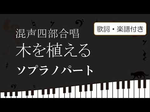 桜の石を植える – それは可能ですか? トピックス