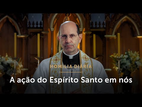 Homilia Diária | Por que o Espírito Santo é chamado de Paráclito? (Segunda-feira da 6ª S. da Páscoa)