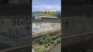 Download lagu Save Balili River #baliliriver #latrinidadbenguet #balili mp3