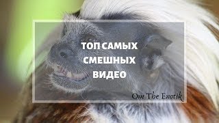 Топ САМЫХ СМЕШНЫХ ВИДЕО \ Ржака \ Угарные видео