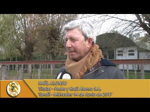 14-06-17 Nota Raul Alonso - Pedro y Raul Alonso S.A. - Tandil