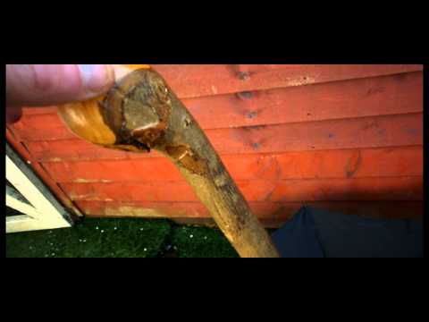 VINTAGE PARAGON FOX MENS WALKING UMBRELLA ONE PIECE ASH SHAFT & ROOTBALL HANDLE