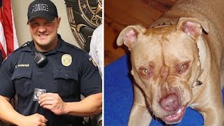 Stray Gigantic Pit Bull Charges At Police Officer, Then Does Something Surprising