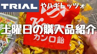  【日常vlog】購入品紹介