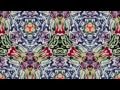 The Apples in Stereo - Hey Elevator
