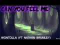 Wontolla - Can You Feel Me (ft Nathan Brumley ...