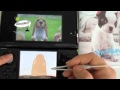 3DS Nintendogs + Cats (Basset Hound) 