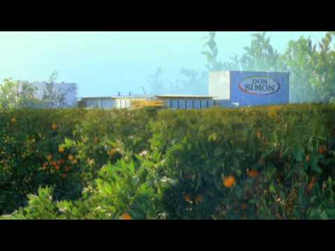 Don Simón Squeezed Juices