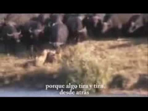 Sube Sube (El Peso del Mundo) - Airbag
