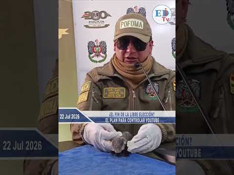 Rescatan una cría de hurón en Potosí
