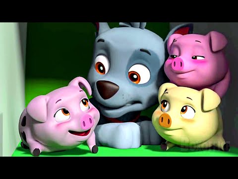 Rocky is the Baby Pig's mama 😂 | PAW Patrol Best Scenes 🌀 4K
