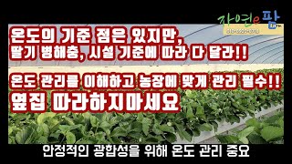 딸기 재배 온도 관리!! 평균 관리법은 있지만 다 달라!! 왜 그럴까? 매년 경험하는 병해충 그리고 시설에 …