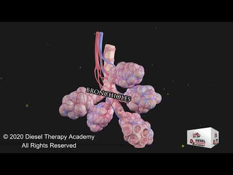 Asthma Explained - Best Video