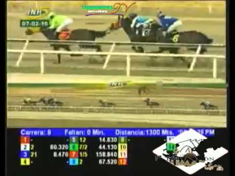 LA RINCONADA 9 CARRERA, DOMINGO 07 DE FEBRERO DEL 2016