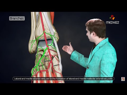 Dorsalis pedis artery Animated lecture -  Dr G Bhanu Prakash