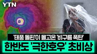 태풍 3개 '군단'처럼 북상…한반도 향하는 '극한 호우' 초비상 [에디터픽] / YTN