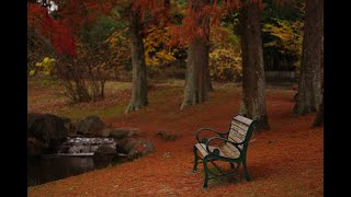 Download lagu GLAY-BE WITH YOU（歌詞あり） mp3