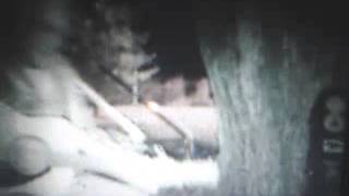 Hank III -The Only Hell Mama Ever Raised (cover)