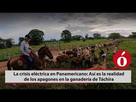 La Crisis Eléctrica en Panamericano: Así es la Realidad de los Apagones en la Ganadería de Táchira