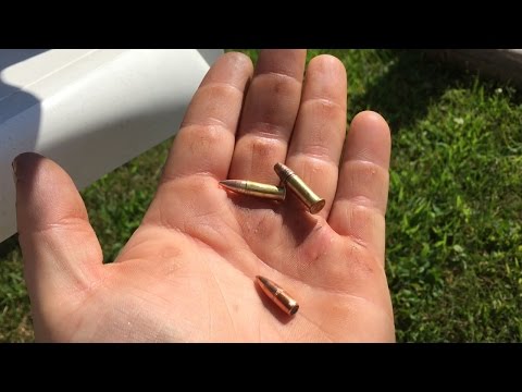 Swapping Bullets: .223 Bullet in a 22LR