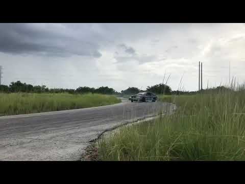 A wild foxbody appears