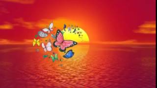 RITUAL DE LAS MARIPOSAS - Meditación