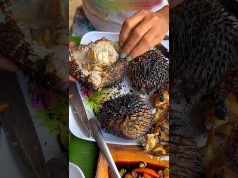 Puffer Fish Grilled to PERFECTION 🐡 | TOXIC to TASTY: The ULTIMATE Fugu Experience