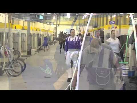 Catching Up with Brett Miller