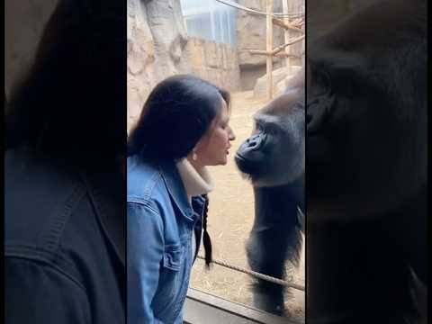 Everyone wants a kiss😍😆 #funny #animals