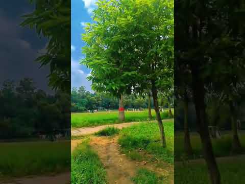 #oxygen   Park View #ranchi_jharkhand #ranchi #trendingshorts #nature 0f life is ranchi