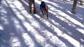 old wooden skis - Asnes 220s!