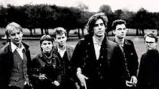 The Triffids - Life of Crime