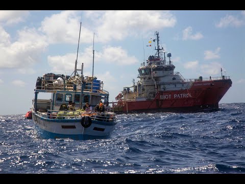 The Blue Belt Programme: British Indian Ocean Territory