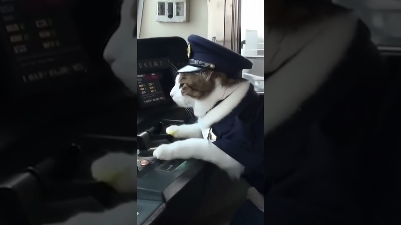 猫の手を借りているＪ〇〇日本