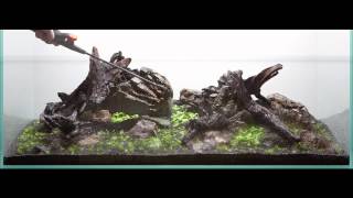 120x60x50 Planted Tank Setup