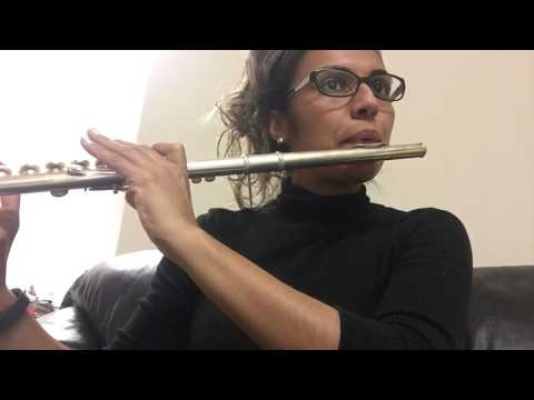 UW - Madison Varsity Song