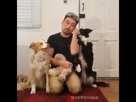 The  DoGGy things...😀😀😉