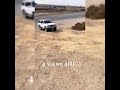 4x4 And 4x2 Difference 4wd Offroad Suv Car Review